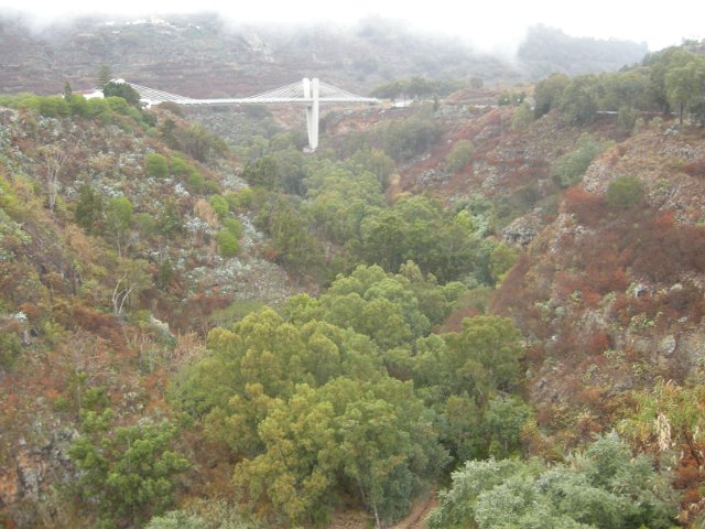 Gran Canaria 287